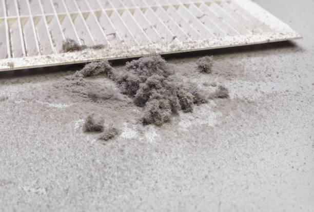 Best Affordable Air Duct Cleaning  in Somers Point, NJ